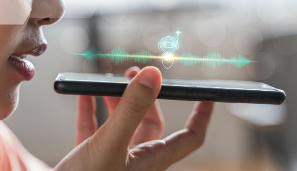 Using transcripts for voice calls-1